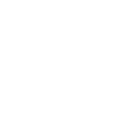 Hybrid LOGO